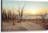 WallClassics - Canvas  - Grassen in Duinen met Zon - 120x80 cm Foto op Canvas Schilderij (Wanddecoratie op Canvas)