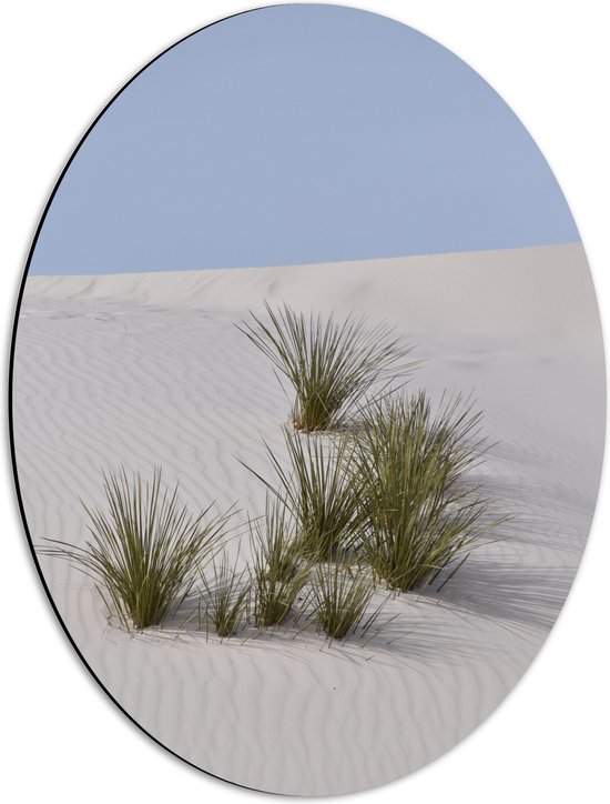 WallClassics - Dibond Ovaal - Grassen in het Zand in Duinen - 42x56 cm Foto op Ovaal (Met Ophangsysteem)