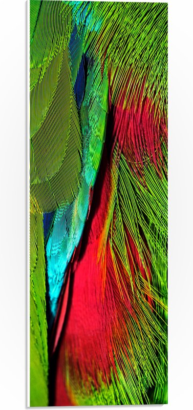WallClassics - PVC Schuimplaat - Groen met Rode Veren van een Vogel - 20x60 cm Foto op PVC Schuimplaat (Met Ophangsysteem)