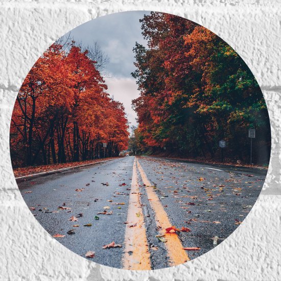 WallClassics - Muursticker Cirkel - Gele Strepen op Weg omringd door Herfstbomen - 20x20 cm Foto op Muursticker