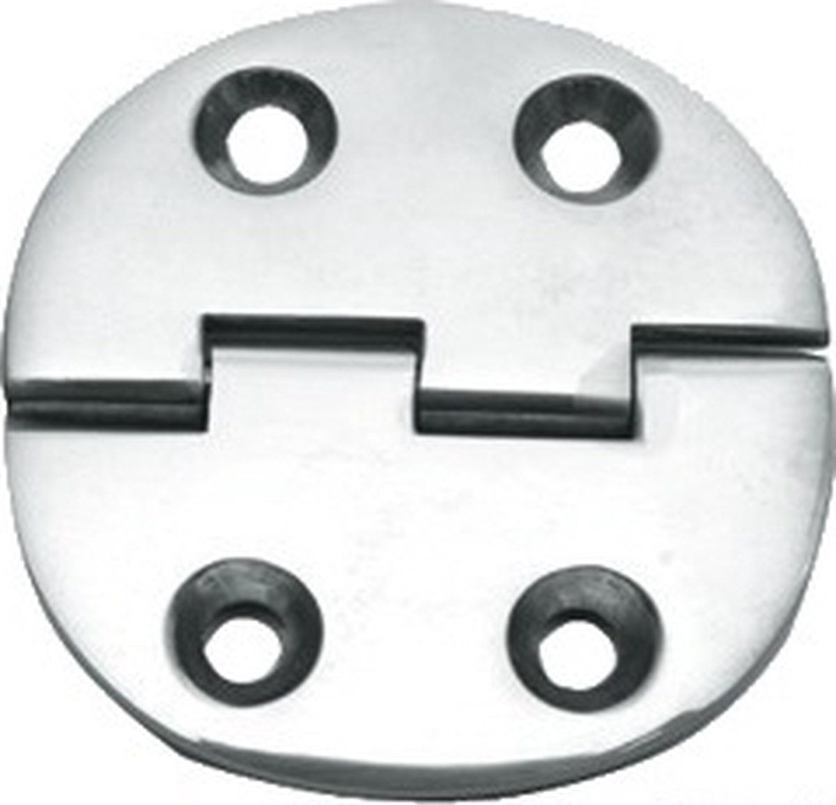 Luikscharnier - 65x65x3 - Rvs 316 - Knoop onder