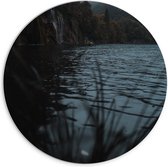 WallClassics - Cercle mural en panneau de mousse PVC - Brins d'herbe au bord de l'eau - Photo 70x70 cm sur cercle mural (avec système de suspension)