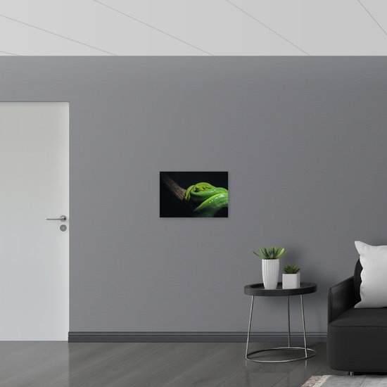 WallClassics - Drapeau - Serpent Python Arbre Vert sur Branche - Photo 60x40 cm sur Drapeau Polyester