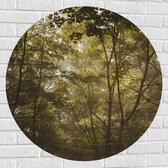 WallClassics - Muursticker Cirkel - Dunne Takken met Groene Bladeren - 90x90 cm Foto op Muursticker
