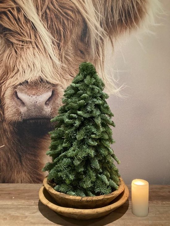 Mini Sapin De Noël Naturel Nobilis 60 Cm - Branches Fraîches Sur Tronc Bois, Parfum Forestier | Décoration Table, Rebord Fenêtre - 8