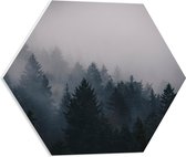 WallClassics - PVC Schuimplaat Hexagon  - Donkere Boomtoppen - 50x43.5 cm Foto op Hexagon (Met Ophangsysteem)