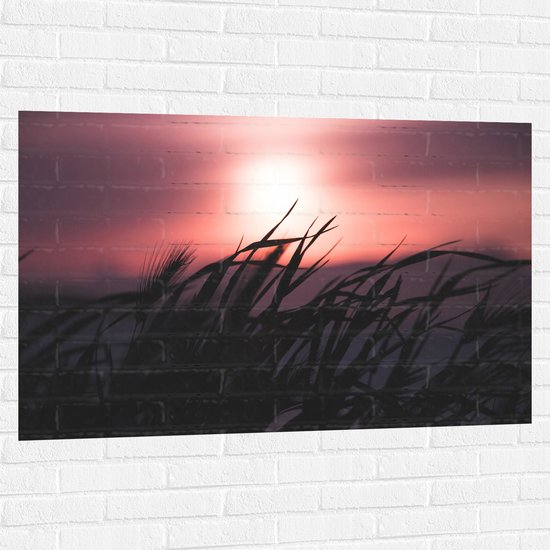 WallClassics - Muursticker - Donkere Grassen bij Rozekleurige Lucht - 120x80 cm Foto op Muursticker