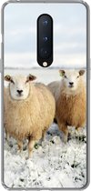 Geschikt voor OnePlus 8 hoesje - Groep nieuwsgierige schapen - Siliconen Telefoonhoesje