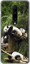 Geschikt voor OnePlus 7 Pro hoesje - Panda's - Hout - Trap - Siliconen Telefoonhoesje
