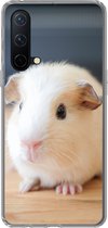 Geschikt voor OnePlus Nord CE 5G hoesje - Schattige baby cavia - Siliconen Telefoonhoesje