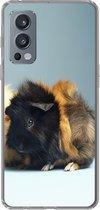 Geschikt voor OnePlus Nord 2 5G hoesje - Twee kleine cavia's - Siliconen Telefoonhoesje