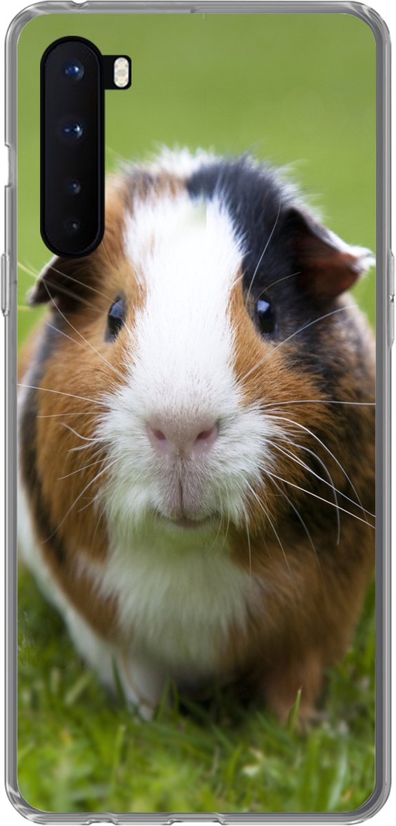 Telefoonhoesje Geschikt voor OnePlus Nord hoesje - Twee cavia's - Siliconen Telefoonhoesje Telefoonhoesje