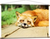 WallClassics - Affiche Textile - Renard Endormi - 120x80 cm Photo sur Textile