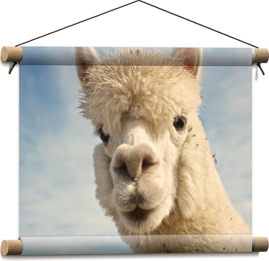 WallClassics - Affiche textile - Tête de Lama - 40x30 cm Photo sur textile