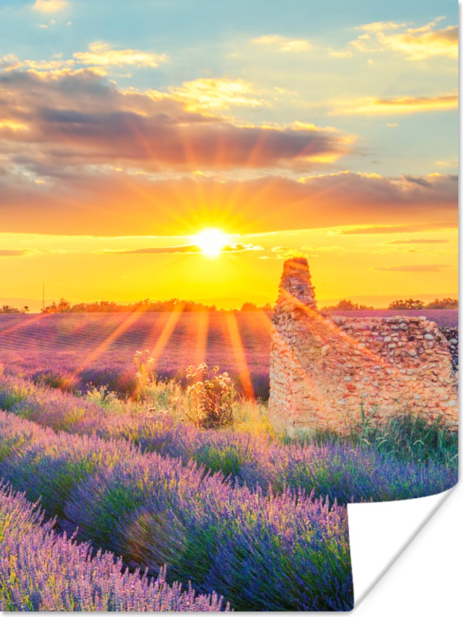 Poster Lavendel - Zonsondergang - Ruïne - Paars - 30x40 cm