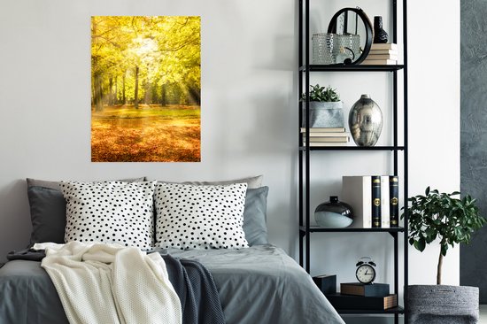 Affiche Arbre - Nature - Soleil - Paysage - Forêt - 60x80 cm