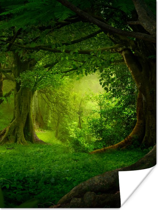 Poster Bomen - Bos - Groen - Landschap - Natuur