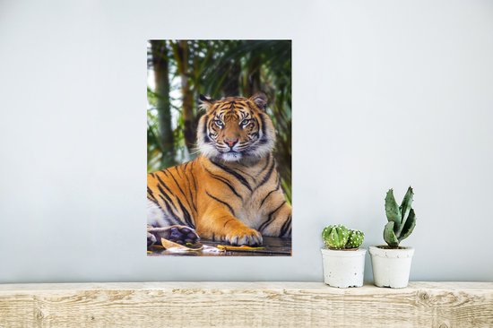Affiche Tigre - Animaux - Forêt - Feuilles - Jungle - 20x30 cm