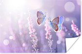 Poster Vlinder - Lavendel - Bloemen - Paars - 30x20 cm
