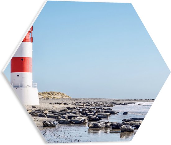 WallClassics - PVC Schuimplaat Hexagon  - Vuurtoren met Rotsen aan de Zee - 40x34.8 cm Foto op Hexagon (Met Ophangsysteem)