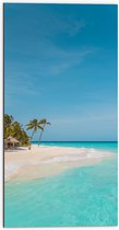 WallClassics - Dibond - Tropisch Strand met Palmbomen - 50x100 cm Foto op Aluminium (Wanddecoratie van metaal)