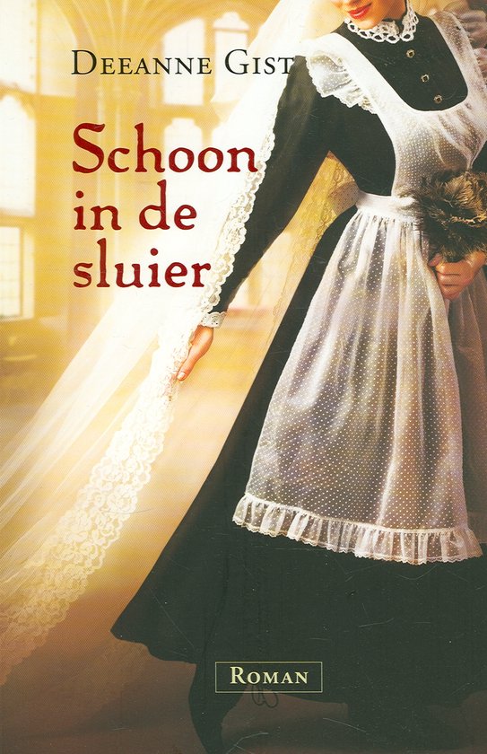 Schoon in de sluier - cover