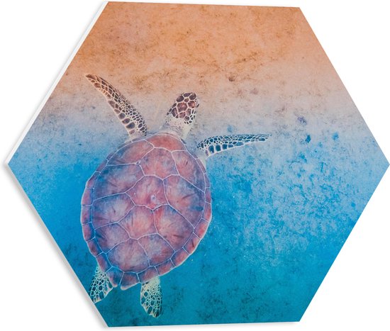 WallClassics - PVC Schuimplaat Hexagon  - Schildpad Zwemt naar het Strand - 40x34.8 cm Foto op Hexagon (Met Ophangsysteem)