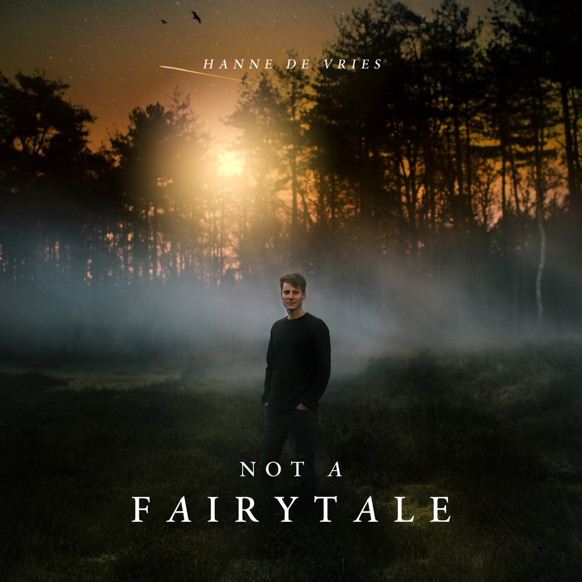 Hanne de Vries - Not a Fairytale