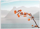 WallClassics - Plaque de Mousse PVC - Feuilles d' Oranje sur Branche pour Montagnes - Photo 40x30 cm sur Plaque de Mousse PVC (Avec Système d'accrochage)