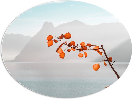 WallClassics - PVC Schuimplaat Ovaal - Oranje Bladeren aan Tak voor Bergen - 68x51 cm Foto op Ovaal  (Met Ophangsysteem)