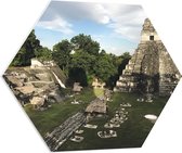 WallClassics - PVC Schuimplaat Hexagon  - Piramide van de Grote Jaguar - Guatemala  - 80x69.6 cm Foto op Hexagon (Met Ophangsysteem)