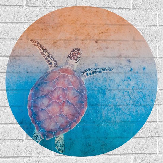 WallClassics - Muursticker Cirkel - Schildpad Zwemt naar het Strand - 70x70 cm Foto op Muursticker