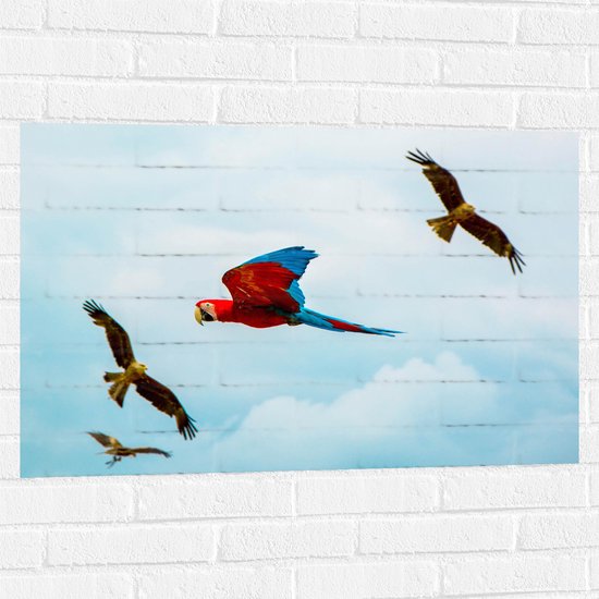WallClassics - Muursticker - Vliegende Vogels Ara Papegaaien - 90x60 cm Foto op Muursticker