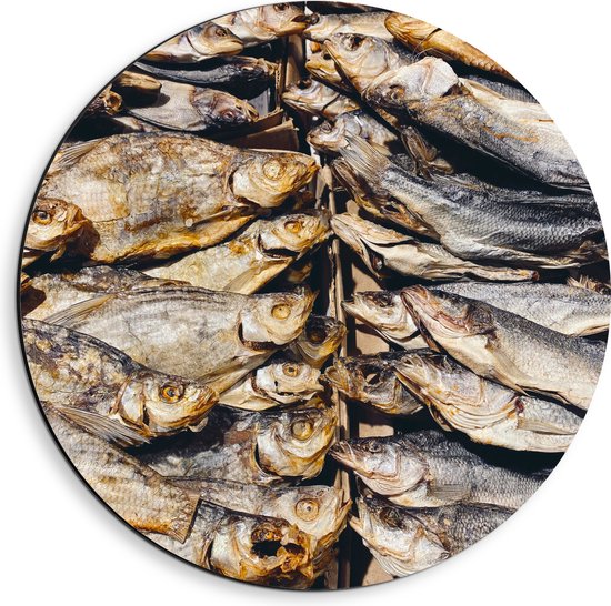 WallClassics - Dibond Muurcirkel - Verse Vissen op een Vismarkt - 40x40 cm Foto op Aluminium Muurcirkel (met ophangsysteem)