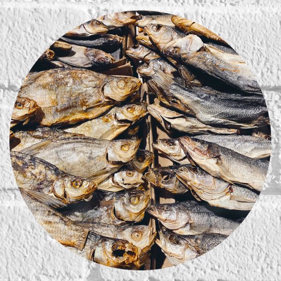 WallClassics - Muursticker Cirkel - Verse Vissen op een Vismarkt - 20x20 cm Foto op Muursticker