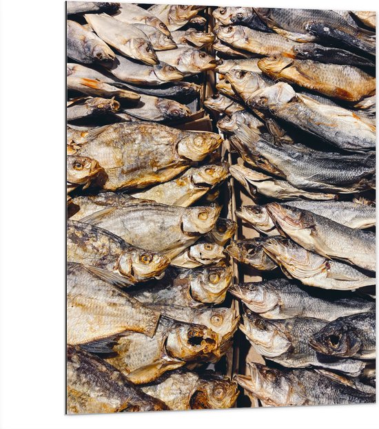 WallClassics - Dibond - Verse Vissen op een Vismarkt - 75x100 cm Foto op Aluminium (Wanddecoratie van metaal)
