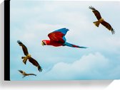 WallClassics - Canvas  - Vliegende Vogels Ara Papegaaien - 40x30 cm Foto op Canvas Schilderij (Wanddecoratie op Canvas)