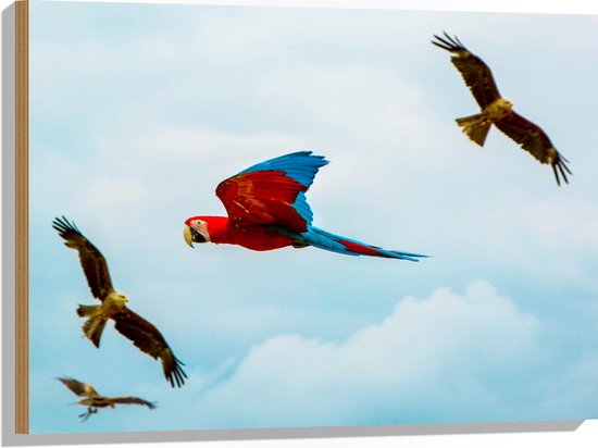 WallClassics - Hout - Vliegende Vogels Ara Papegaaien - 80x60 cm - 12 mm dik - Foto op Hout (Met Ophangsysteem)