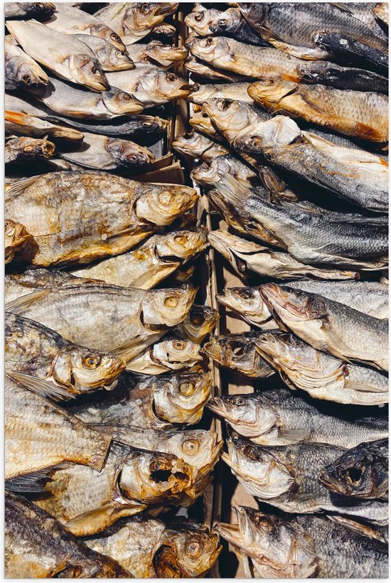 WallClassics - Poster Glanzend – Verse Vissen op een Vismarkt - 40x60 cm Foto op Posterpapier met Glanzende Afwerking