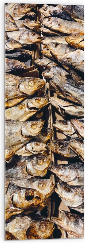 WallClassics - Acrylglas - Verse Vissen op een Vismarkt - 30x90 cm Foto op Acrylglas (Wanddecoratie op Acrylaat)