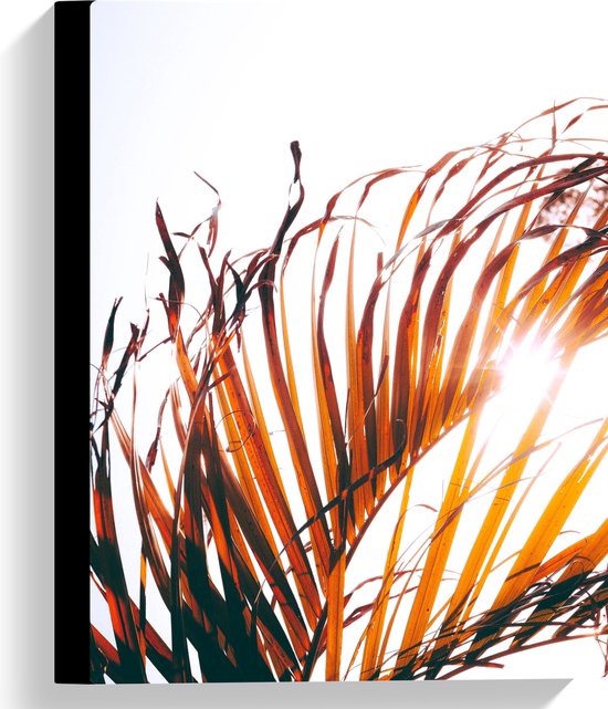 WallClassics - Canvas  - Bruine Palmbladeren - 30x40 cm Foto op Canvas Schilderij (Wanddecoratie op Canvas)