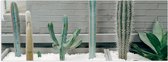 WallClassics - Poster Glossy - Jardinière Cactus - 60x20 cm Photo sur Papier Poster avec Finition Brillante