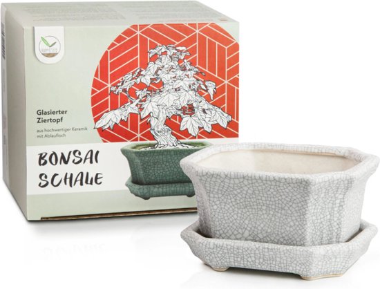 Happy Seed Keramieken bonsai pot (schaal) met schotel - grijs