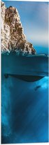 WallClassics - Vlag - Duiker onder Water - 30x90 cm Foto op Polyester Vlag