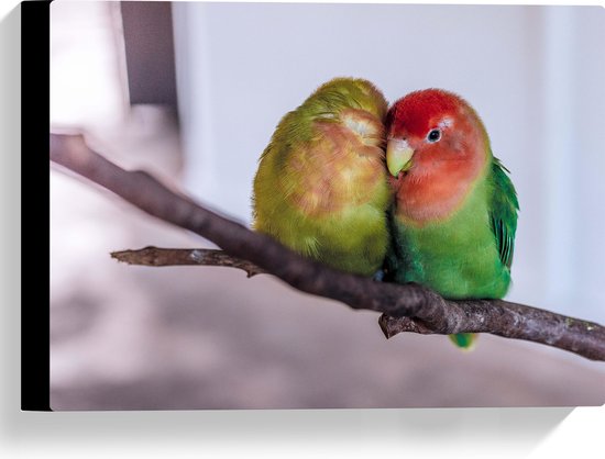 WallClassics - Canvas  - Twee Verliefde Vogeltjes op een Tak - 40x30 cm Foto op Canvas Schilderij (Wanddecoratie op Canvas)