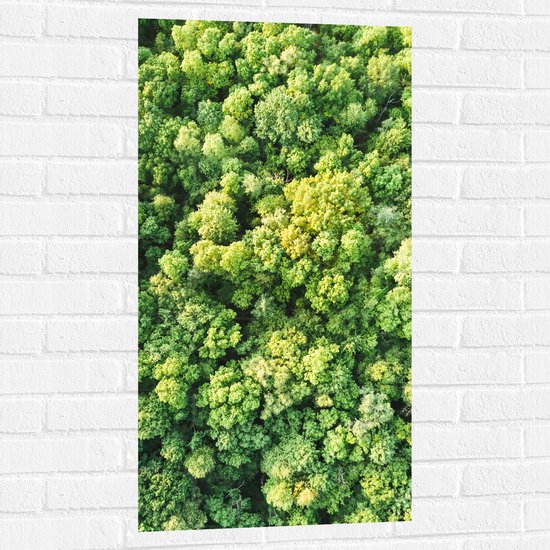 WallClassics - Muursticker - Bovenaanzicht van Dichtbegroeid Bos in het Groen - 50x100 cm Foto op Muursticker