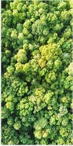 WallClassics - Poster Glanzend – Bovenaanzicht van Dichtbegroeid Bos in het Groen - 50x100 cm Foto op Posterpapier met Glanzende Afwerking