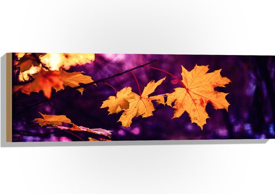 WallClassics - Hout - Oranje Herfstbladeren met Paarse Achtergrond - 90x30 cm - 12 mm dik - Foto op Hout (Met Ophangsysteem)