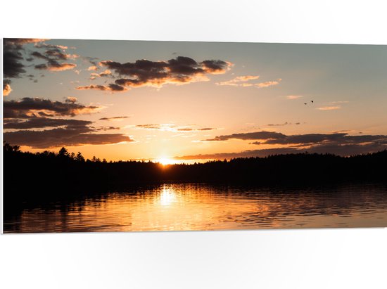 WallClassics - PVC Schuimplaat - Zonsondergang aan Bosrand - 100x50 cm Foto op PVC Schuimplaat (Met Ophangsysteem)