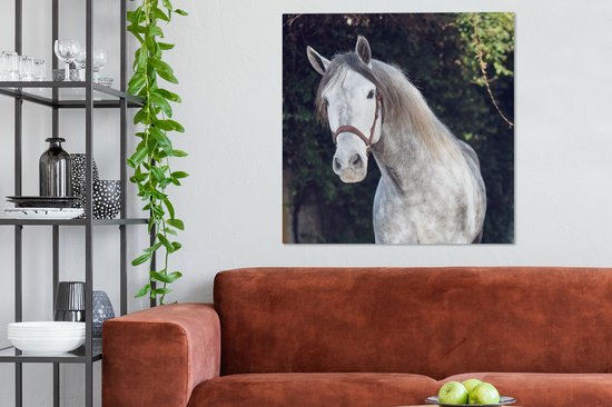 Tableau sur toile Cheval - Halter - Nature - 90x90 cm - Décoration murale